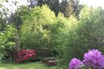 Einfamilienhaus Hermeskeil - 280.000&euro; | Angebot:9974308