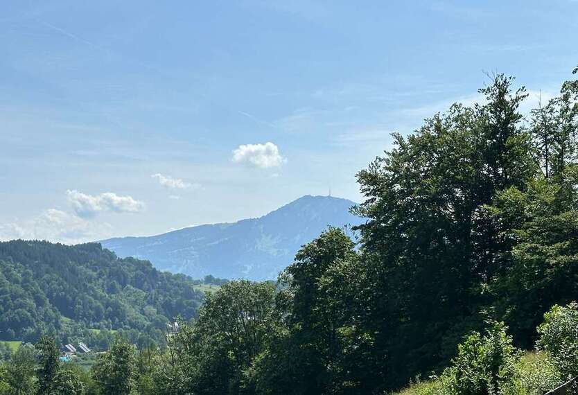 Wohnung zum Kaufen in Immenstadt im Allgäu Bühl am Alpsee 185.000 € 45 m²