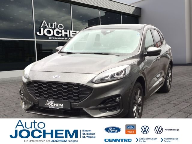 Kuga