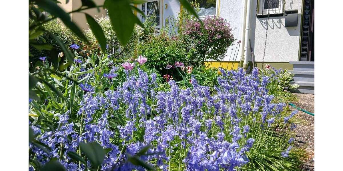 Einfamilienhaus Frankfurt am Main Nord-West - 5 Zimmer, 142 m&sup2;, 690.000&euro; | Angebot:27087338