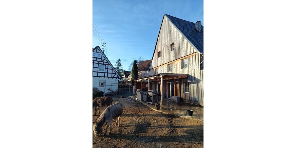 Doppelhaushälfte Hilchenbach - 7 Zimmer, 180 m&sup2;, 219.000&euro; | Angebot:26698965