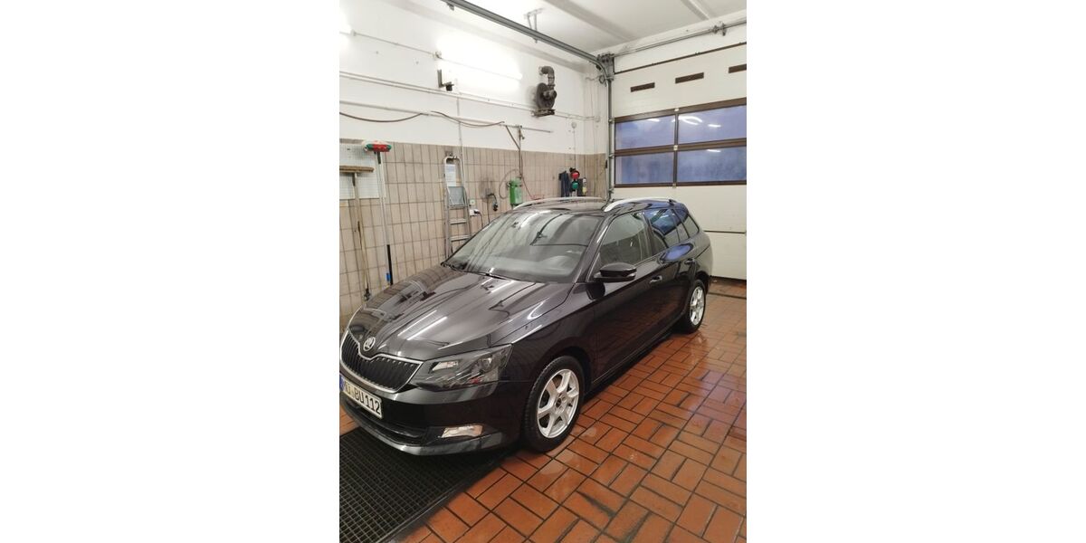 Skoda Fabia 145.000 km 9.500 &euro; Heldenstein 84431