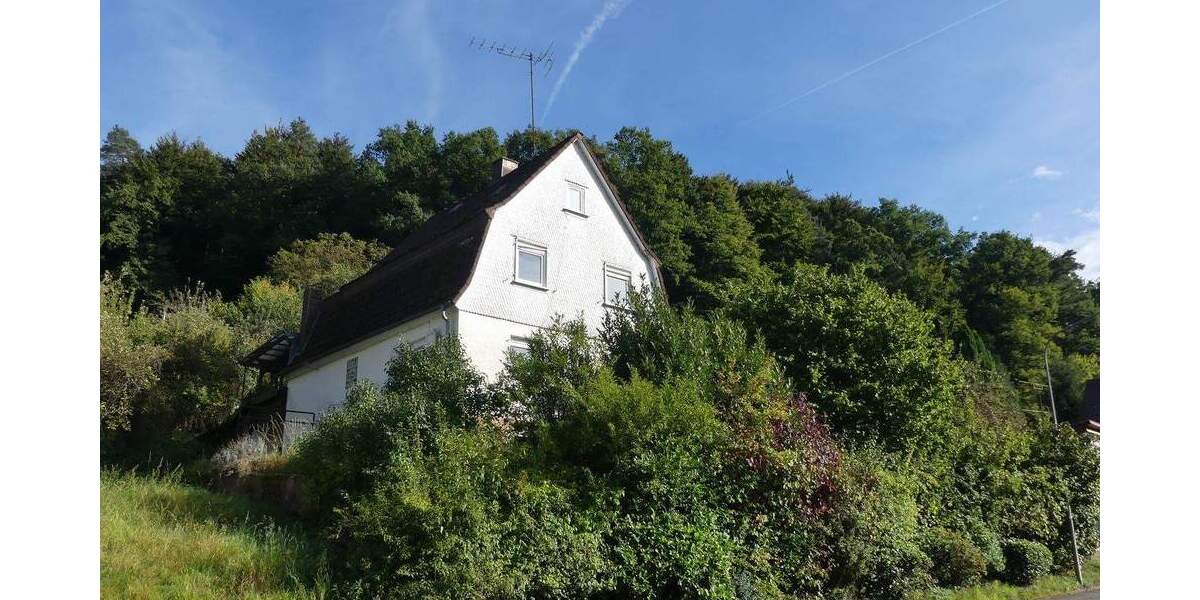 Einfamilienhaus Erbach Schönnen - 5 Zimmer, 110 m&sup2;, 195.000&euro; | Angebot:25768849