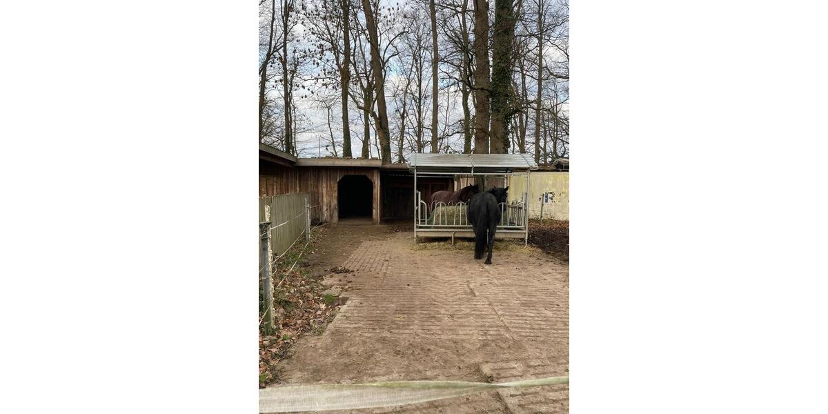 Mehrfamilienhaus, Wohnhaus Wunstorf - 860.000&euro; | Angebot:26416258