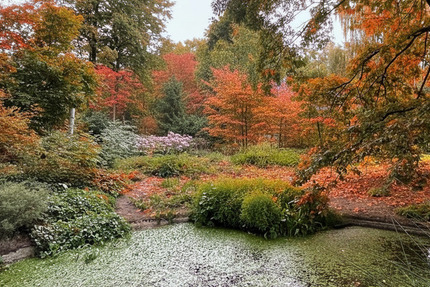 1.196 m² Baugrundstück im Villenviertel Isernhagen-Süd - Einfamilienhaus-Neubauchance am Waldrand zimmer