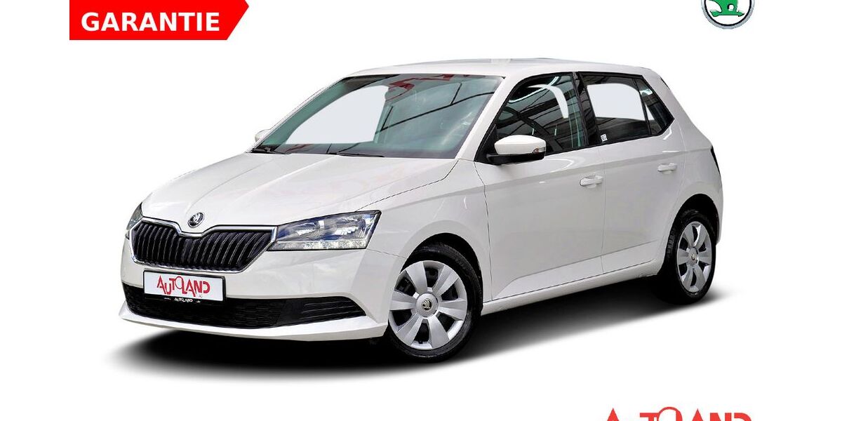 Skoda Fabia 75.150 km 12.950 &euro; Zwickau 08056