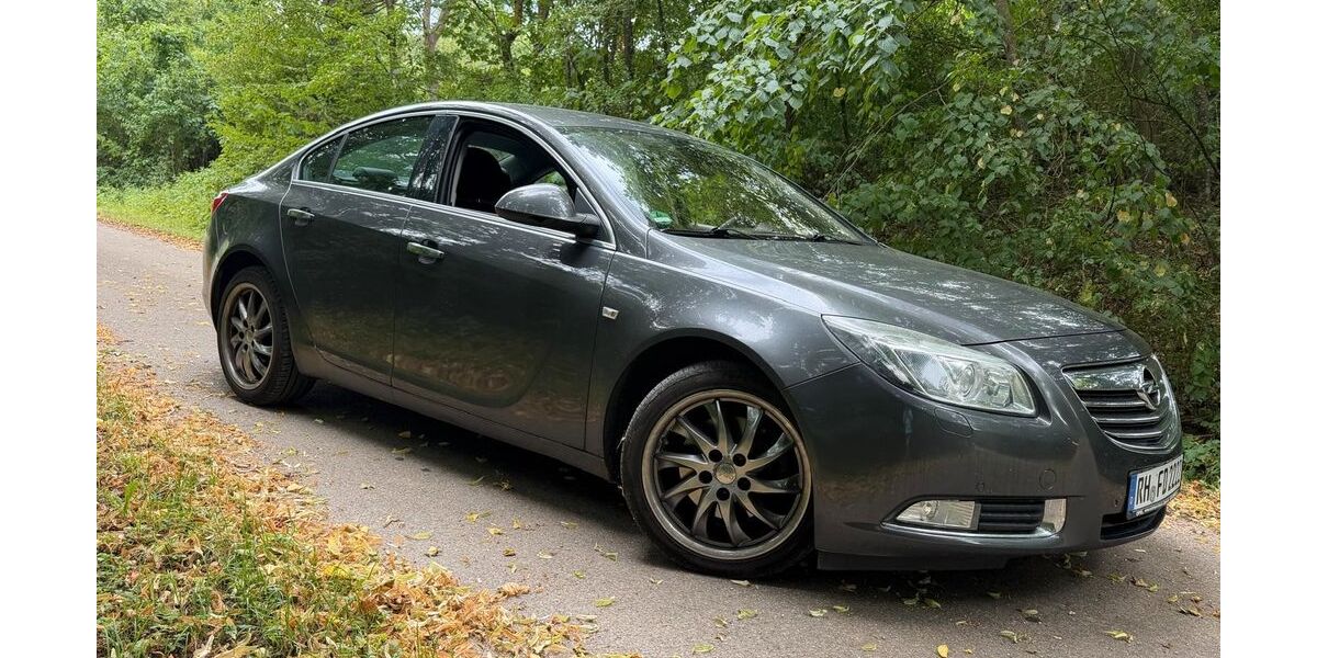 Opel Insignia 300.000 km 2.000 &euro; Höttingen OT weibolshausen 91798