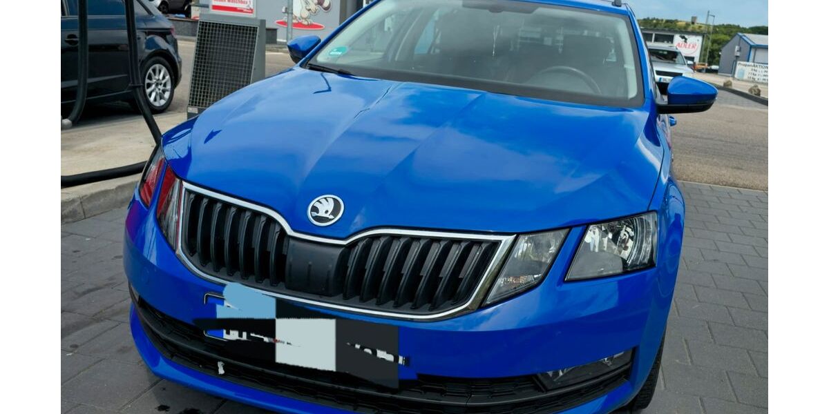 Skoda Octavia 158.000 km 10.000 &euro; Rennau 38368