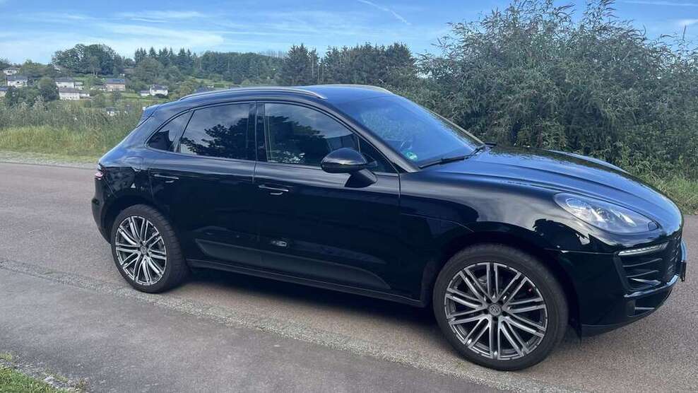 Macan