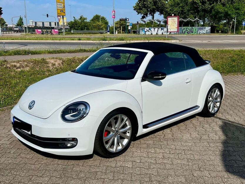 Beetle