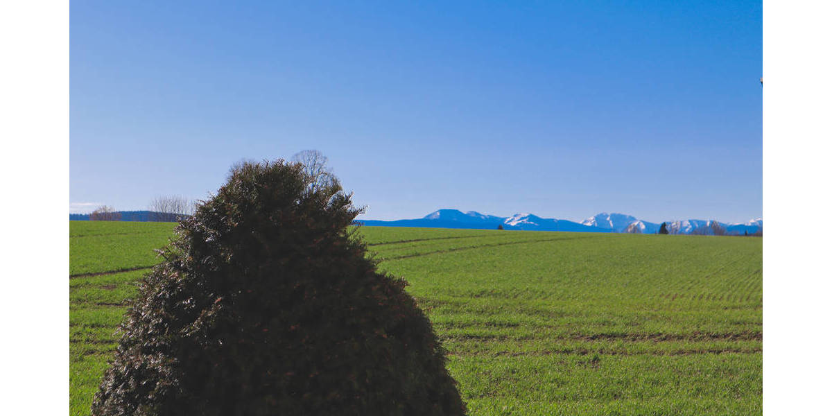 Doppelhaushälfte Holzkirchen - 5 Zimmer, 200 m&sup2;, 1.145.000&euro; | Angebot:26358671