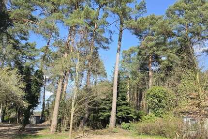 Grundstück Zühlsdorf Zühlsdorf - 280.000&euro; | Angebot:26243101