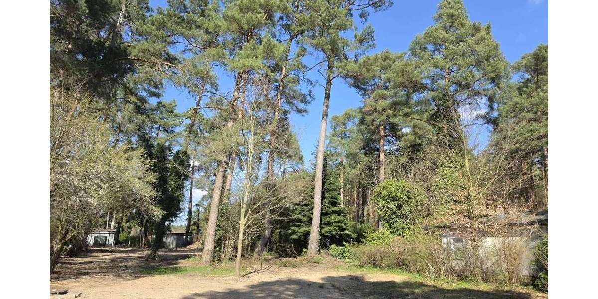 Grundstück Zühlsdorf Zühlsdorf - 280.000&euro; | Angebot:26243101