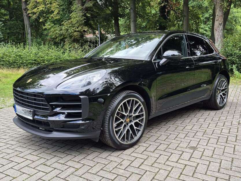 Macan