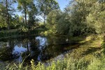 **Provisionsfrei** Haus mit viel Platz für Freizeit und Gewerbe - Einfamilienhaus Strasburg | Angebot:26900662