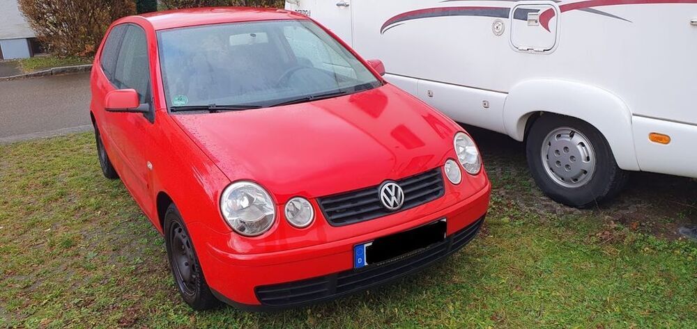Polo