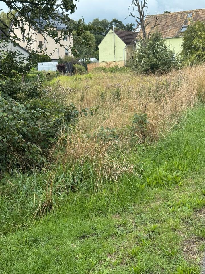 Grundstück mit Baugenehmigung