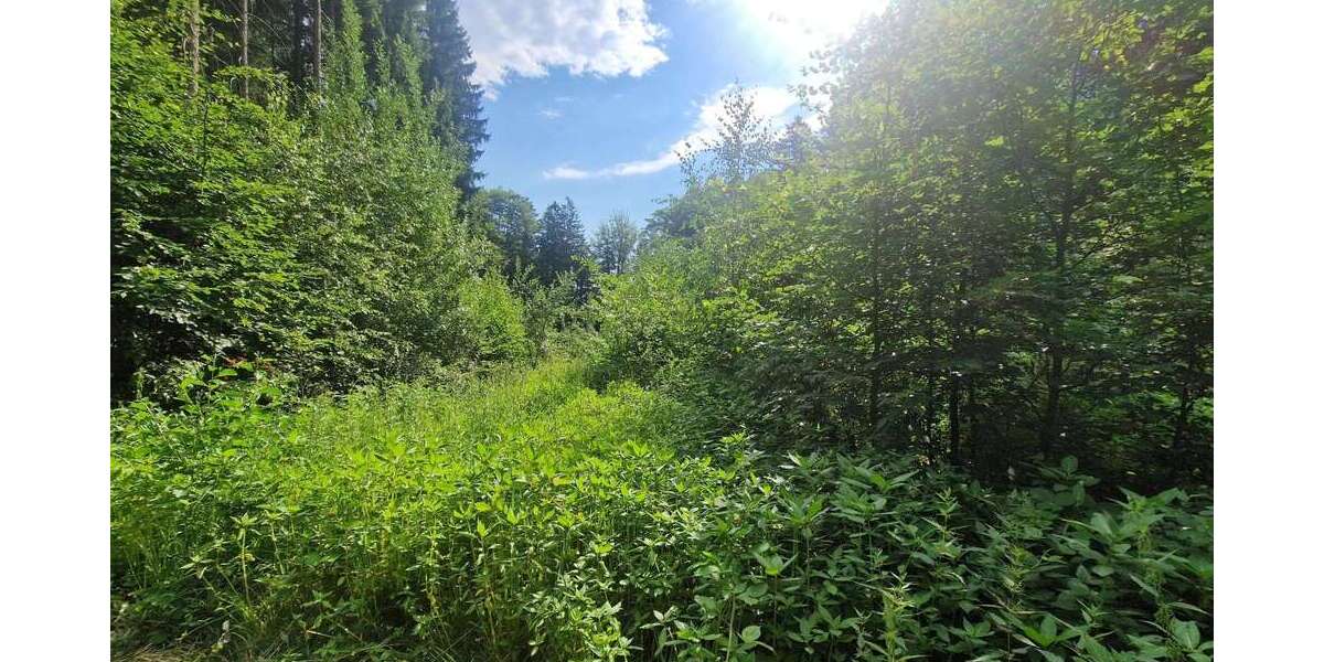 Grundstück Tiefenbach - 31.000&euro; | Angebot:25202295