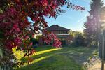 Einfamilienhaus Bad Bentheim - 10 Zimmer, 350 m&sup2;, 630.000&euro; | Angebot:26465733