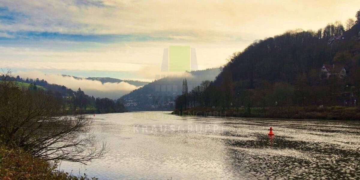 Doppelhaushälfte Heidelberg Ziegelhausen - 5 Zimmer, 162 m&sup2;, 1.549.000&euro; | Angebot:25728193