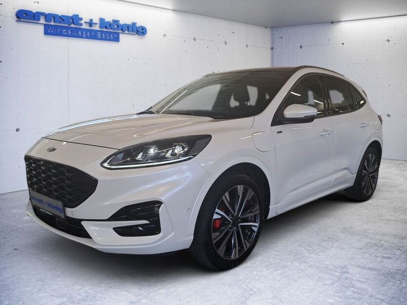Kuga