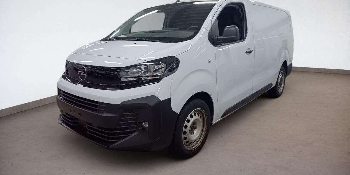 Opel Vivaro 29.418 km 24.990 &euro; Bühl 77815