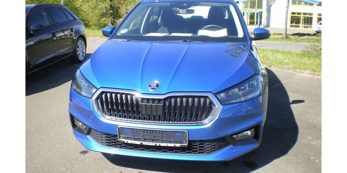 Skoda Fabia 10.296 km 16.900 &euro; Hermeskeil 54411
