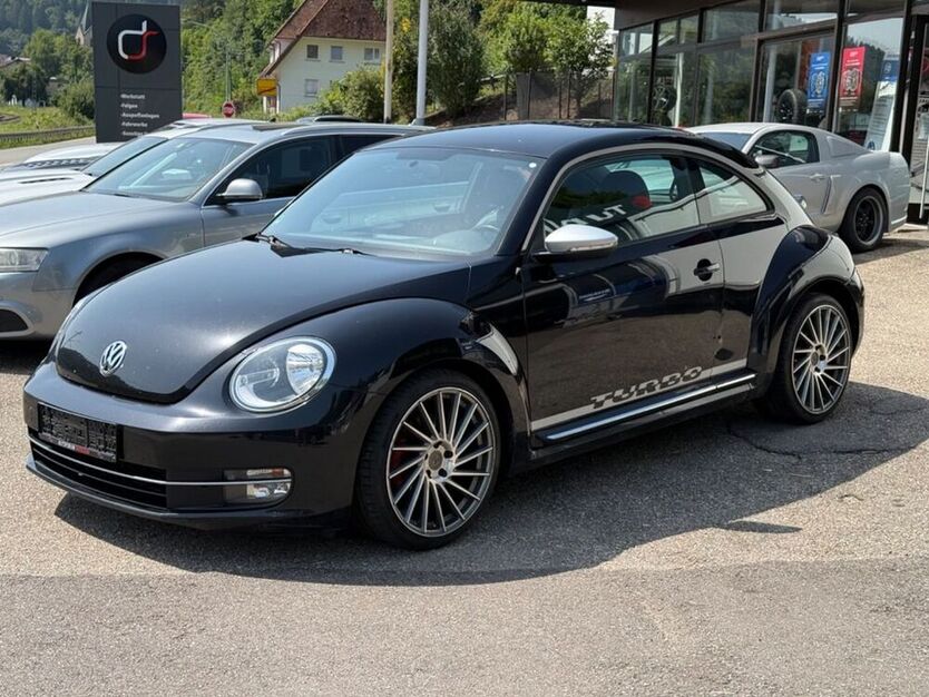 Beetle