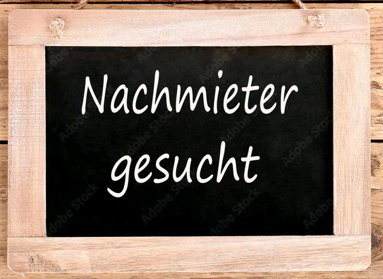 Nachmieter für 3,5 Zi. Wohnung ab FebruarMärz 2026 3 zimmer