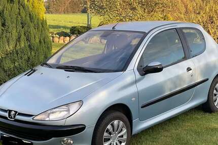 Peugeot 206 224.510 km 1.600 &euro; Offenheim 55234