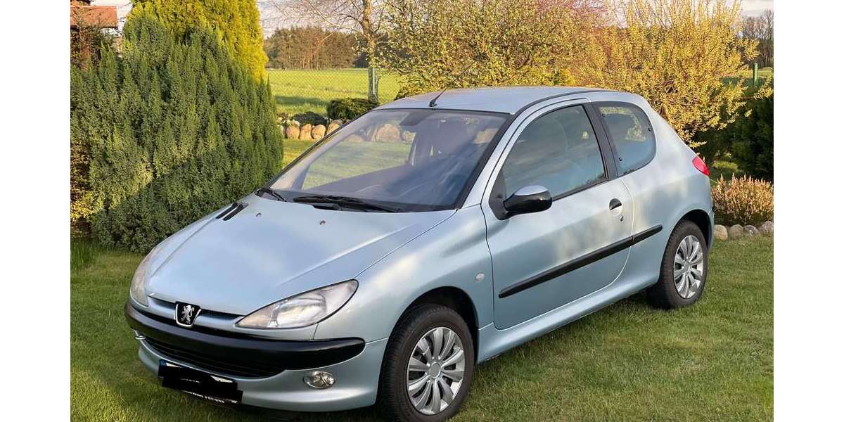 Peugeot 206 224.510 km 1.600 &euro; Offenheim 55234