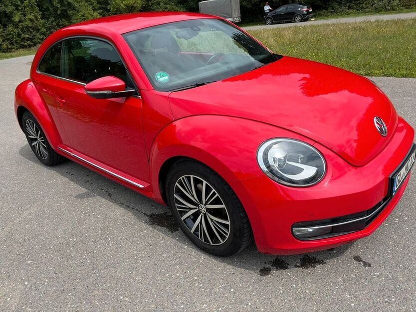 Beetle