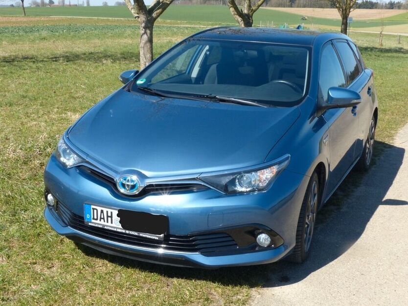 Auris