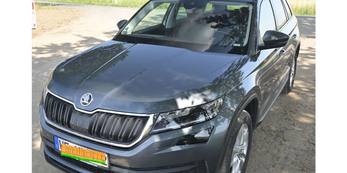Skoda Kodiaq 138.500 km 22.000 &euro; Sickte / Apelnstedt 38173
