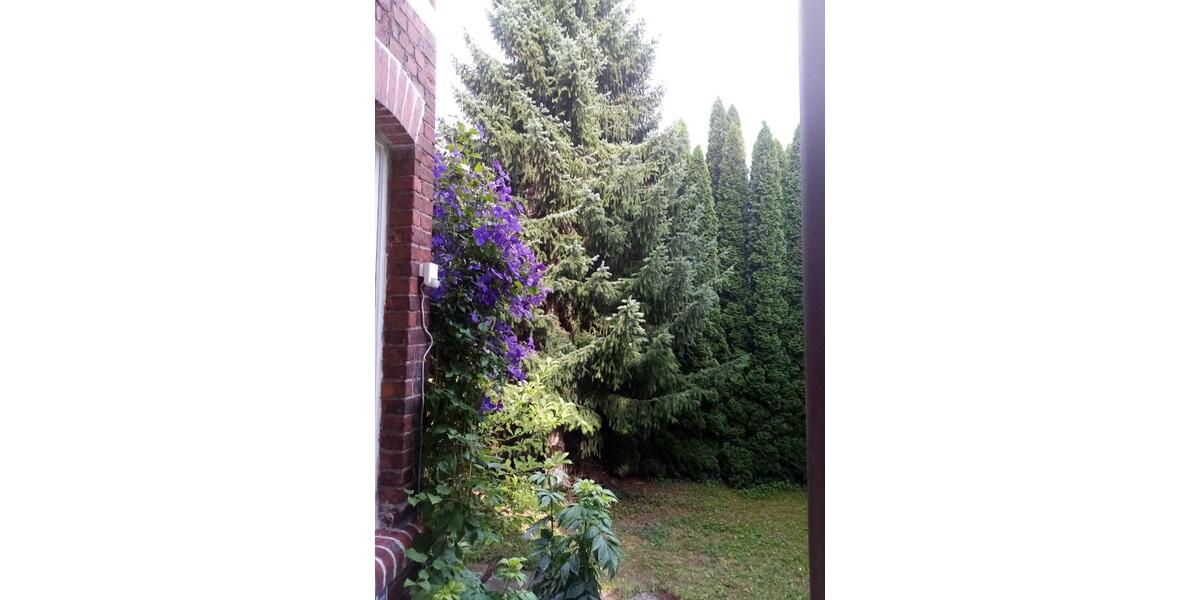 Etagenwohnung Steinheim - 4 Zimmer, 100 m&sup2;, 650&euro; | Angebot:26298755