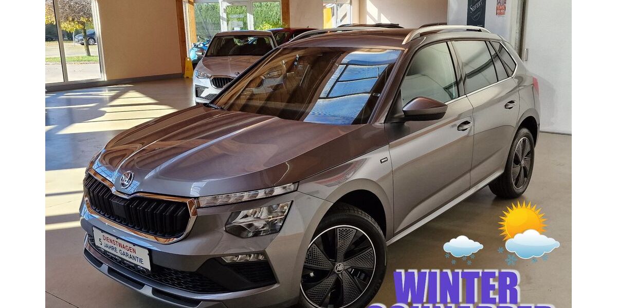 Skoda Kamiq 16.282 km 24.990 € Ichenhausen 89335