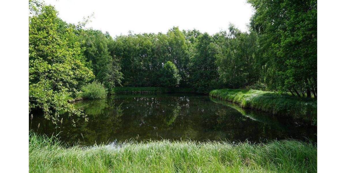 Grundstück Wrestedt Bollensen - 45.900&euro; | Angebot:26867065