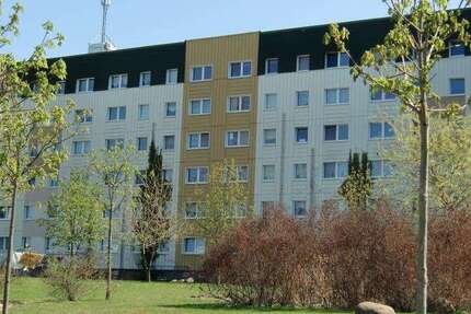 Wohnung zum Mieten in Prenzlau 450 € 64.63 m²
