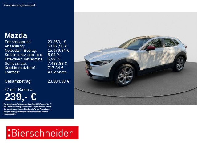 CX-30