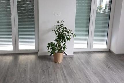 Individuelle 3-RW Maisonette Altstadt - Zweitbezug nach Sanierung 3 zimmer