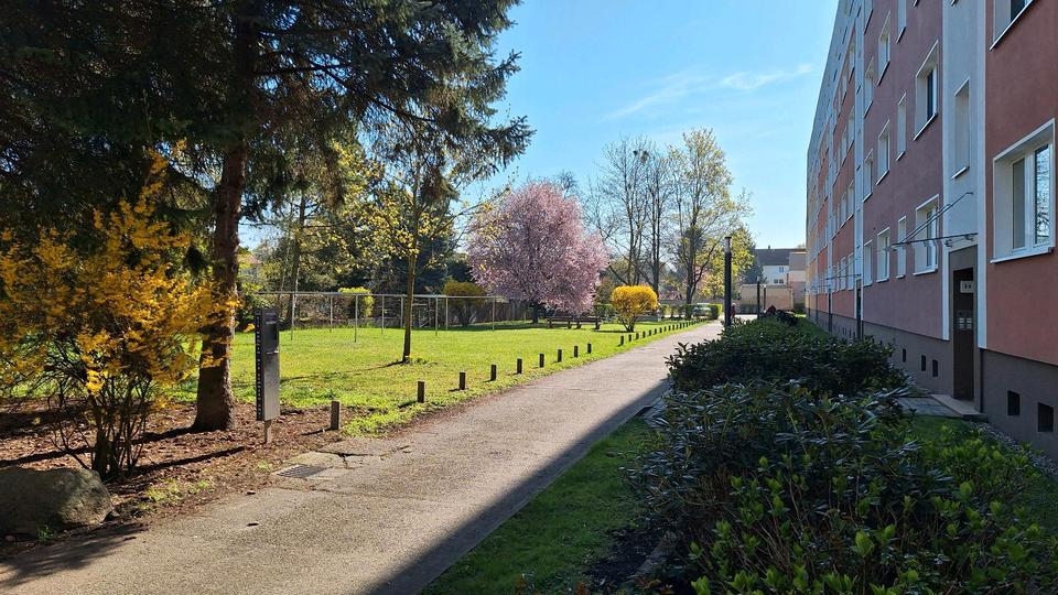 Etagenwohnung Magdeburg Leipziger Straße - 3 Zimmer, 59 m&sup2;, 85.000&euro; | Angebot:26232151