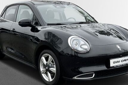 GWM Ora 03 11.869 km 21.660 &euro; Hoyerswerda 02977