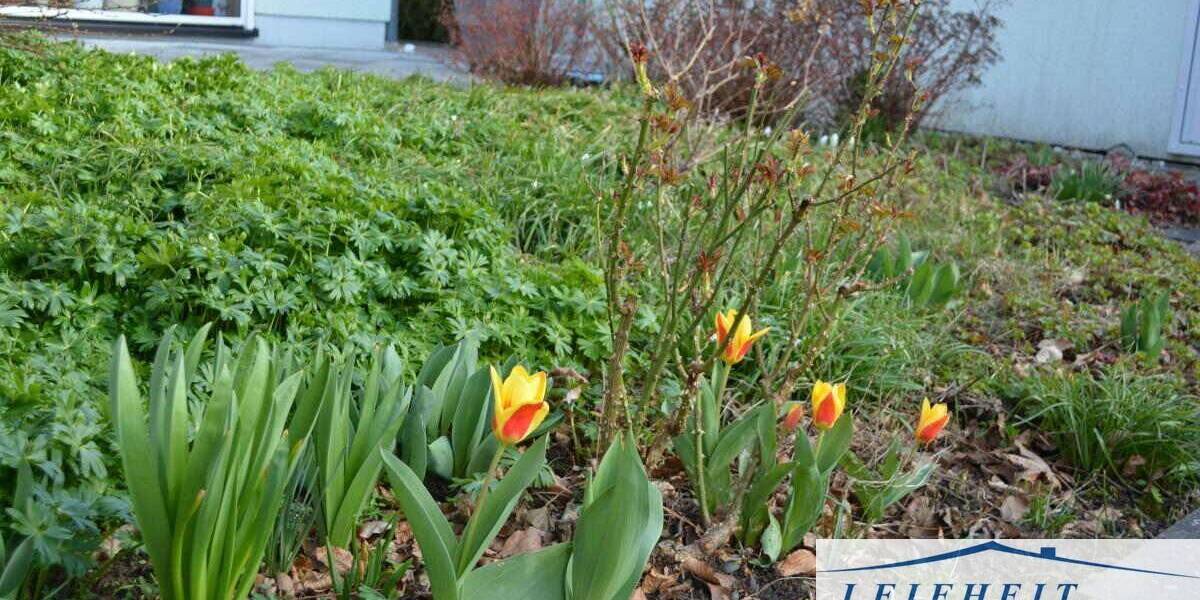 Einfamilienhaus Mühlhausen/Thüringen Mühlhausen - 4 Zimmer, 100 m&sup2;, 268.000&euro; | Angebot:26261579