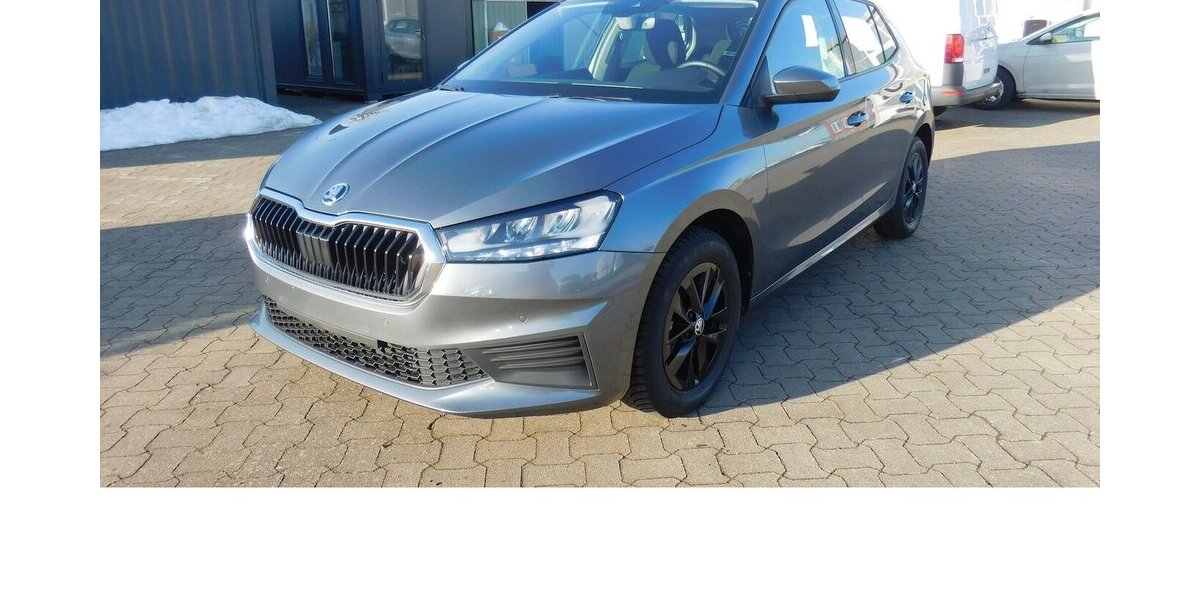Skoda Fabia 1.0 Ambition MPI BMT Navi Klima 13.700 km 14.990 &euro; Vordorf 38533