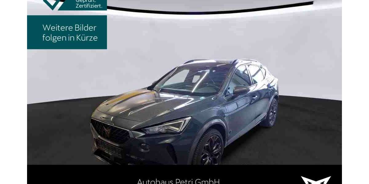 Cupra Formentor 20.315 km 26.430 &euro; Hofheim 65719