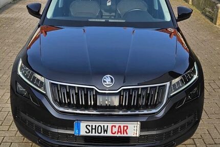 Skoda Kodiaq 165.000 km 21.470 &euro; Jever 26441
