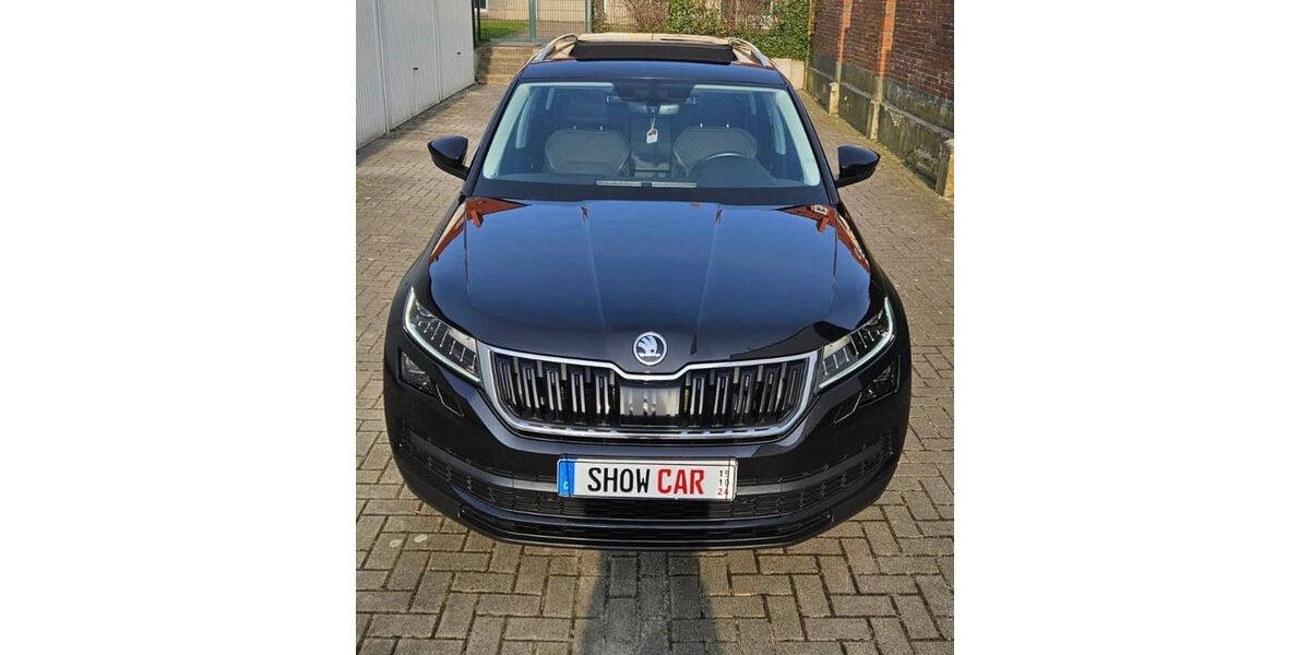 Skoda Kodiaq 165.000 km 21.470 &euro; Jever 26441
