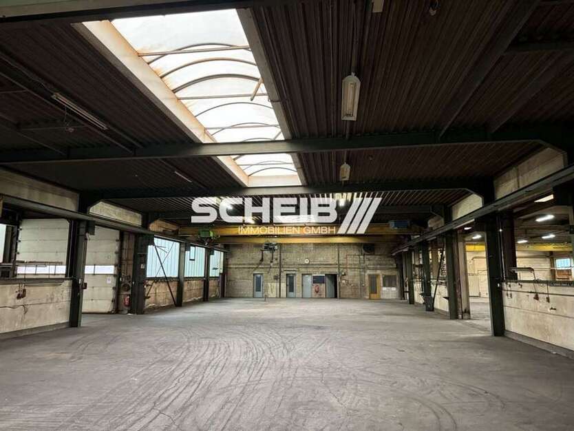 Halle in Hardthausen am Kocher 4.259,56 € 1002.25 m²