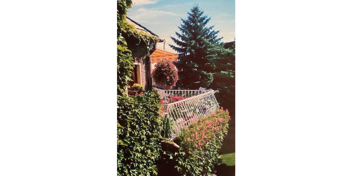 Mehrfamilienhaus, Wohnhaus Burgstädt - 1 Zimmer, 230 m&sup2;, 255.000&euro; | Angebot:25957478