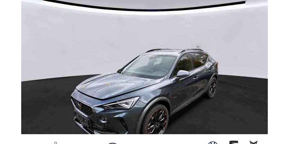 Cupra Formentor 22.422 km 33.450 &euro; Langenfeld 40764